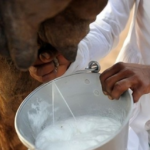 Bienfaits du vinaigre de cidre de pomme bio avant de se coucher