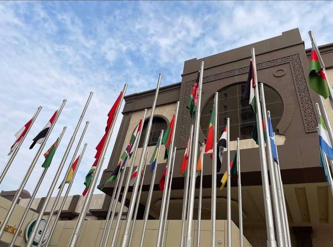 منظمة التعاون الإسلامي تدعو إلى إنهاء العدوان والاحتلال الإسرائيلي بمناسبة اليوم العالمي للتضامن مع الشعب الفلسطيني